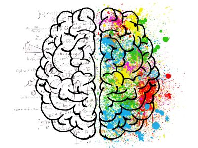 cerveau